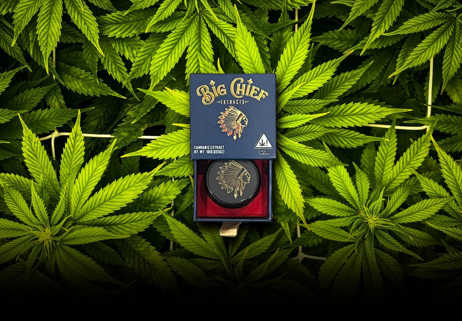 big chief homepage pic 7